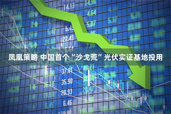 凤凰策略 中国首个“沙戈荒”光伏实证基地投用
